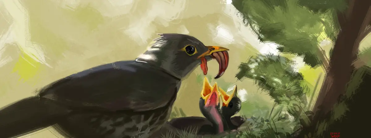 bird-feeding