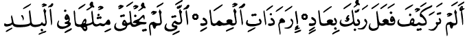 Quran Sura 89 verses 6-8