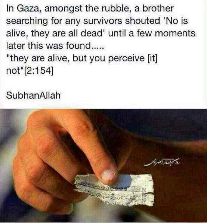36_They_are_alive