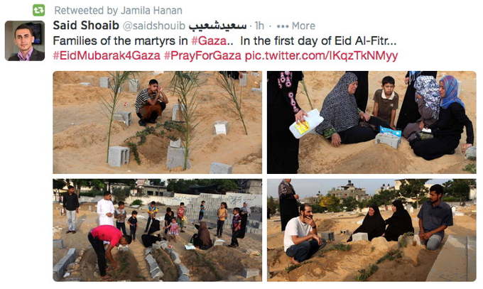 37B_Families_of_mGaza_AGC3