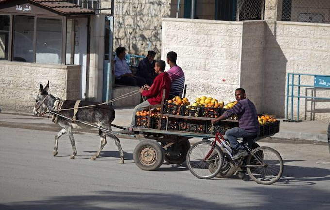 49_Jericho_Palestine._Daily_life