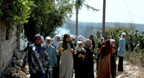 _img8/budrus-women-protest
