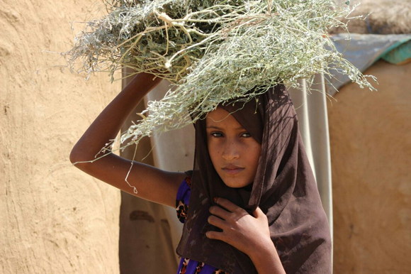 07_Yemen-pics-SG_20170617c.jpg