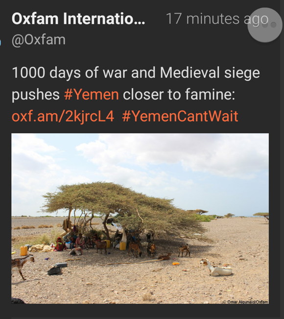 22_Yemen-pics-SG_20171224.jpg