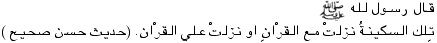 arabisch, T-2885