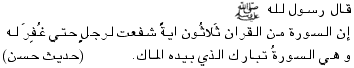 arabisch, T-2891